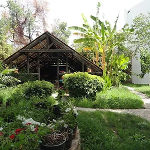 Otel Ece Veganhotel Bodrum ***